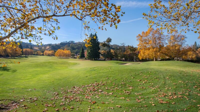 Top Hospitals in Mobile, Alabama