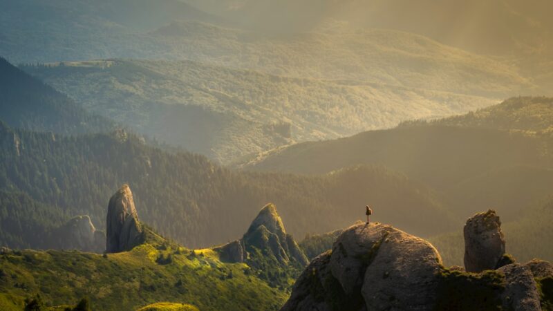 Mobile Care: The Future of Healthcare