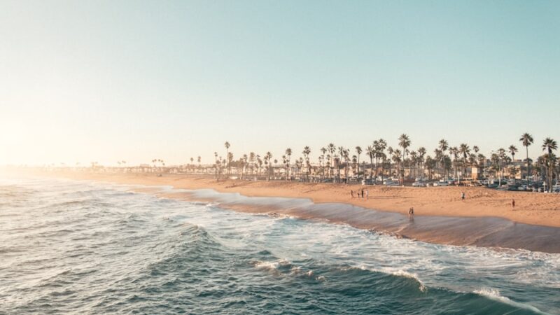 Telehealth Services Offered by Aetna